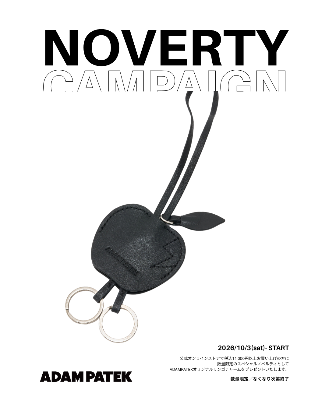 NOVERTY CAMPAIGN
