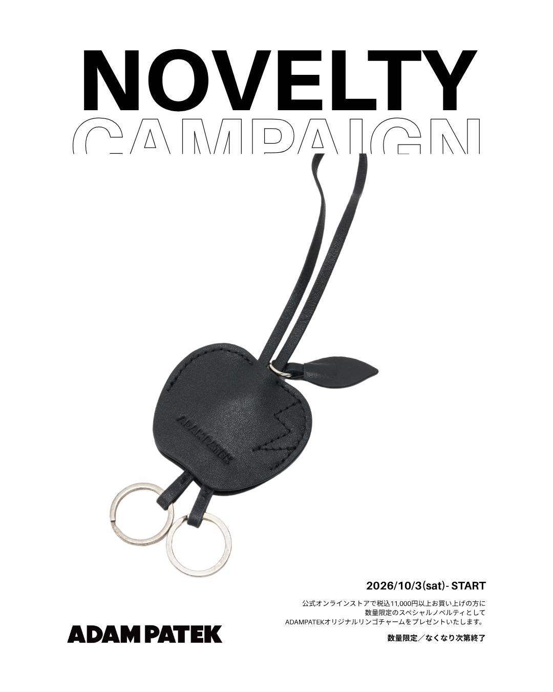 NOVELTY CAMPAIGN