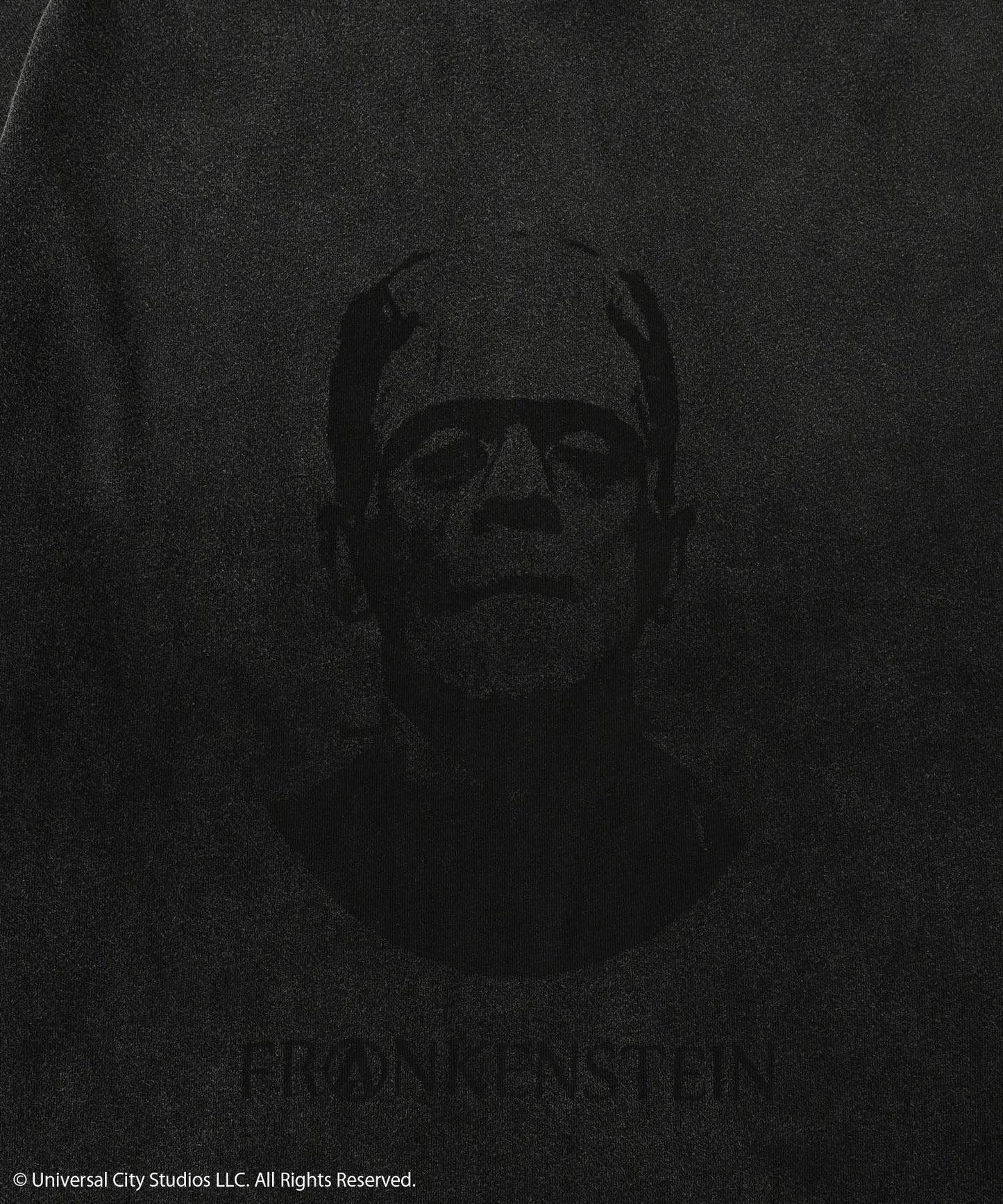Frankenstein portrait long sleeve