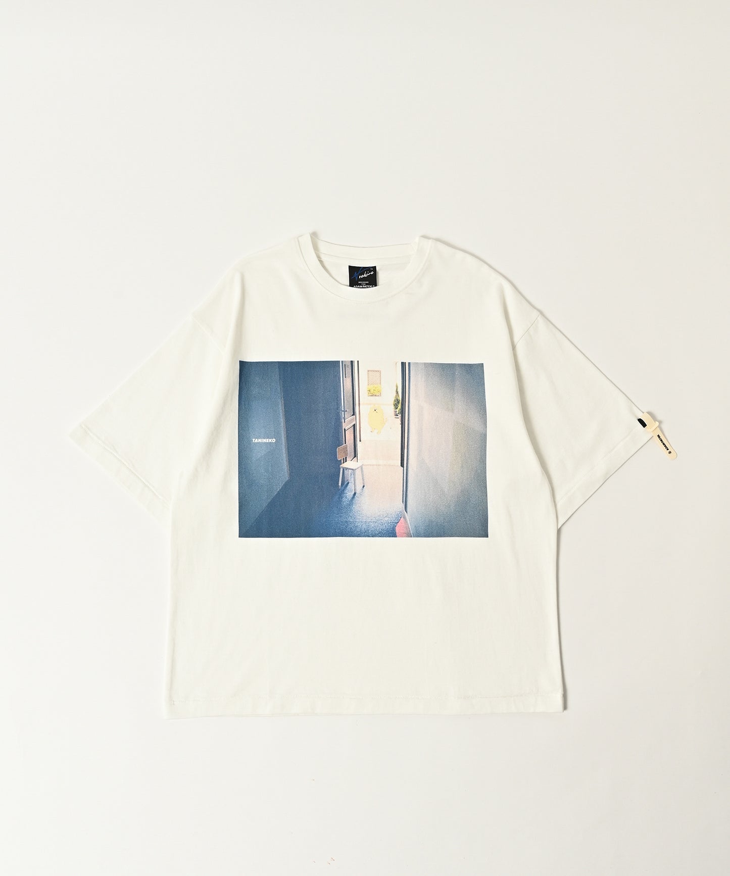 TANINEKO collaboration T