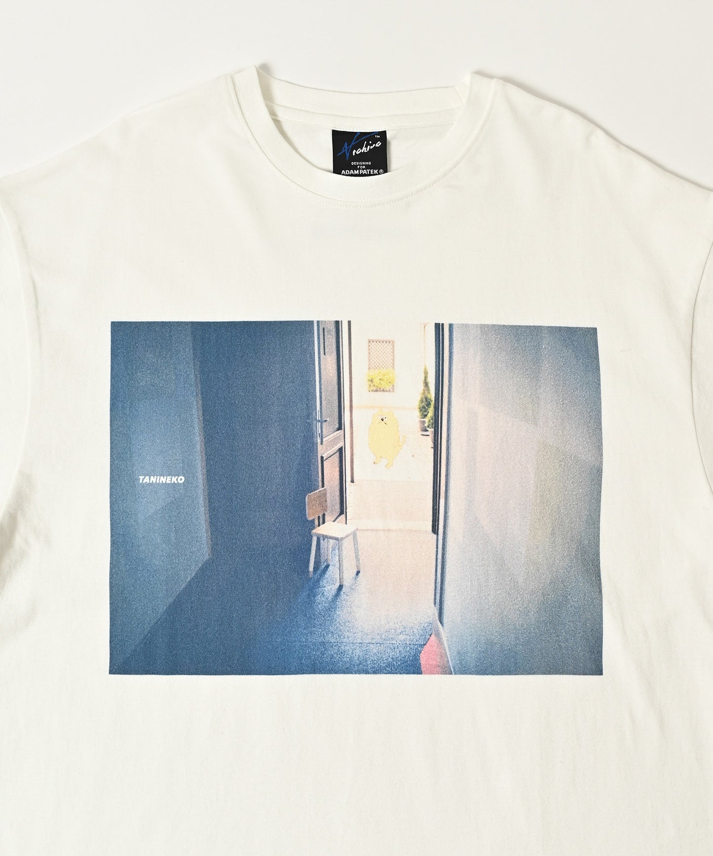 TANINEKO collaboration T