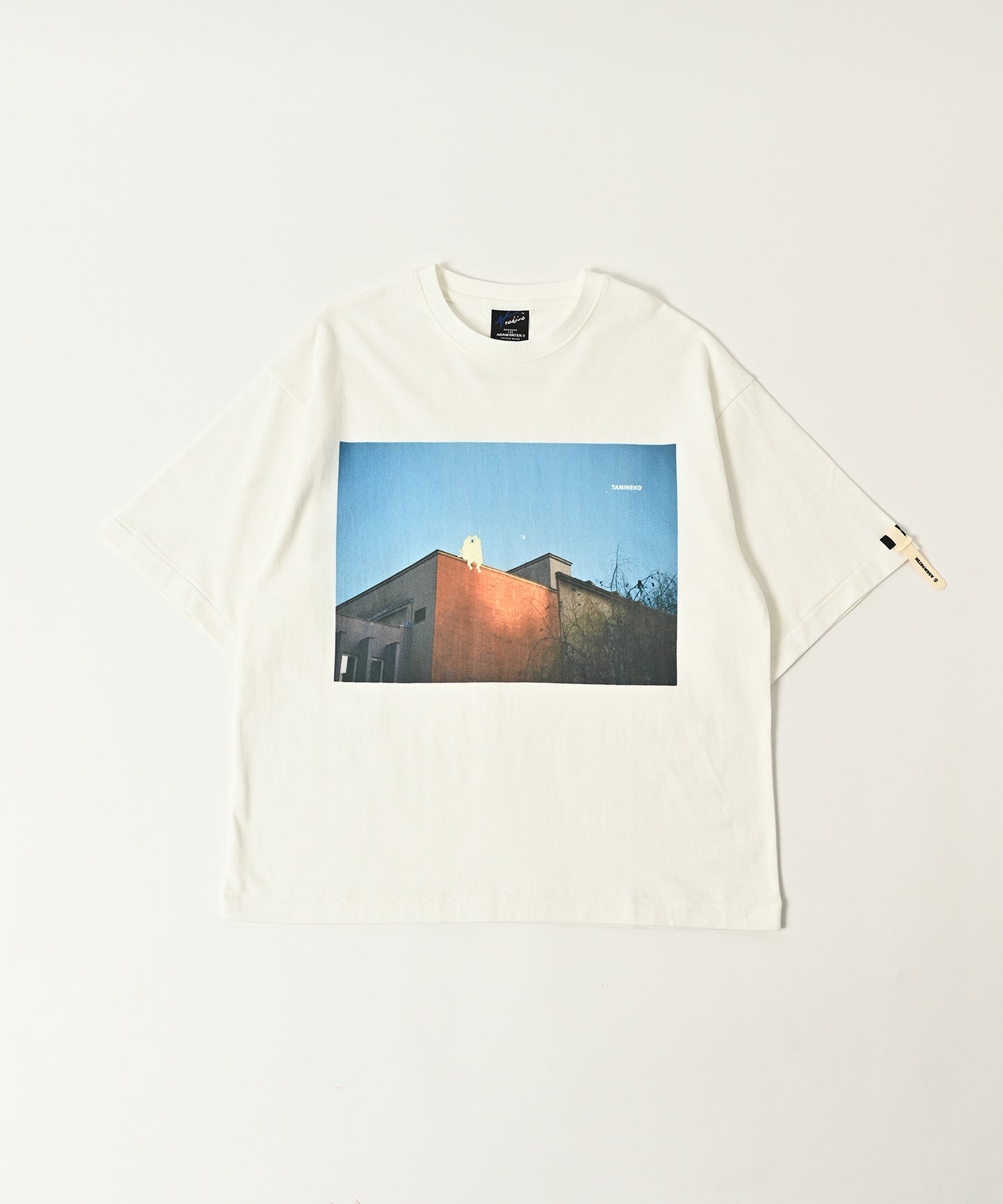 TANINEKO collaboration T