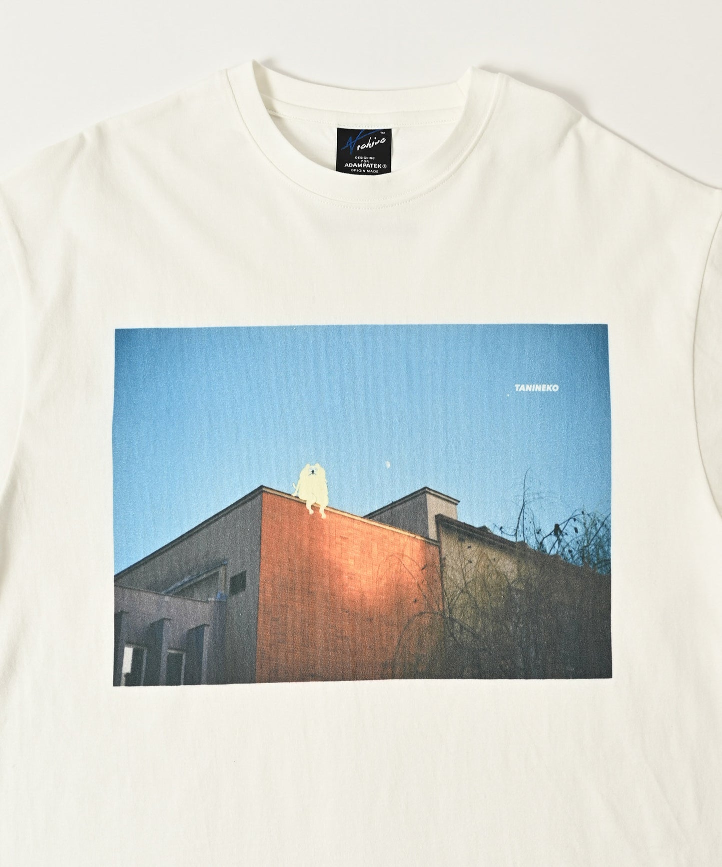 TANINEKO collaboration T
