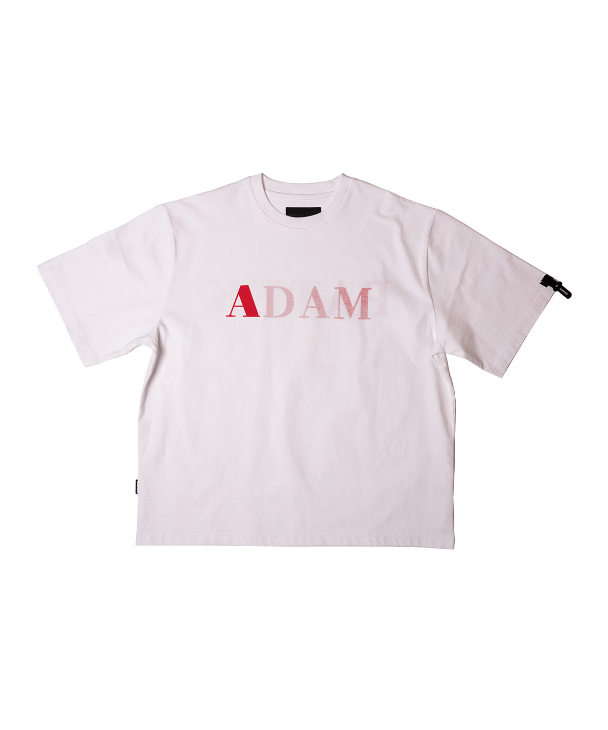 doublesidelogoshortsleeve_AP2414019_Tシャツ2