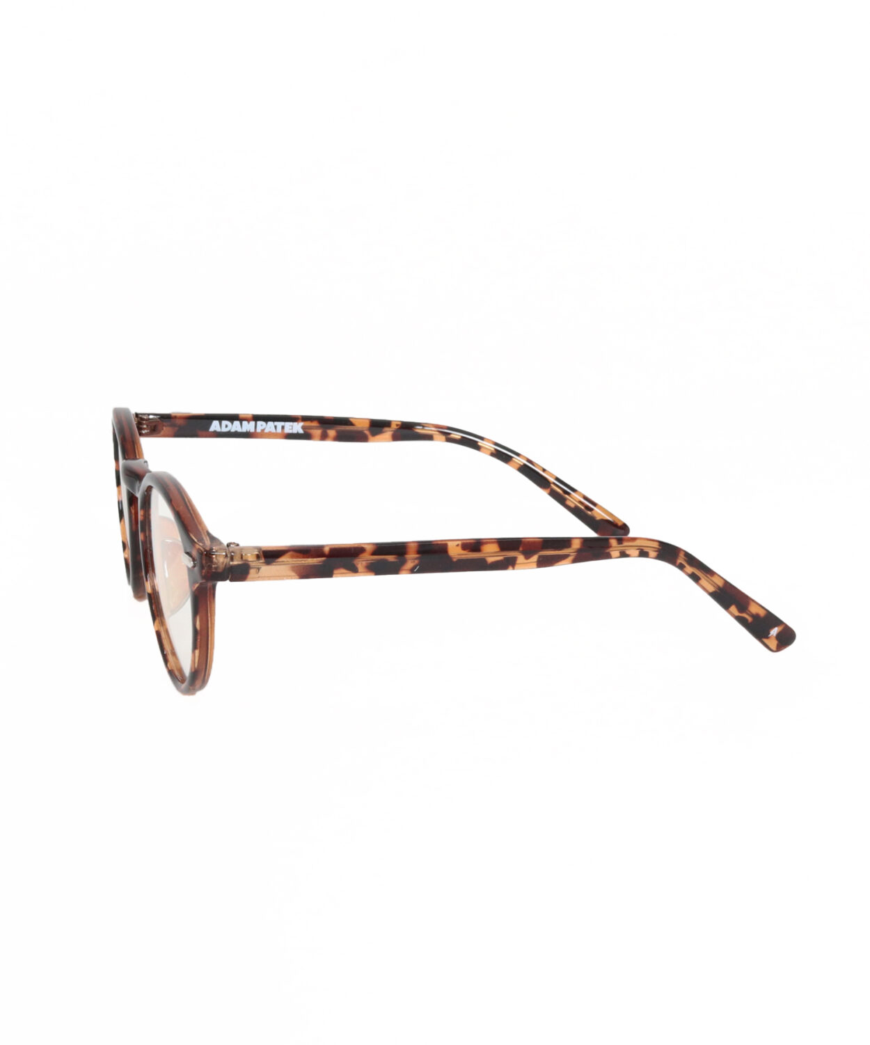reactivelensbostonsunglasses_AP2529036_サングラス11